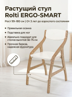 Стул растущий ROLTI Ergo-Smart для школьника Стул растущий ROLTI Ergo-Smart для школьника